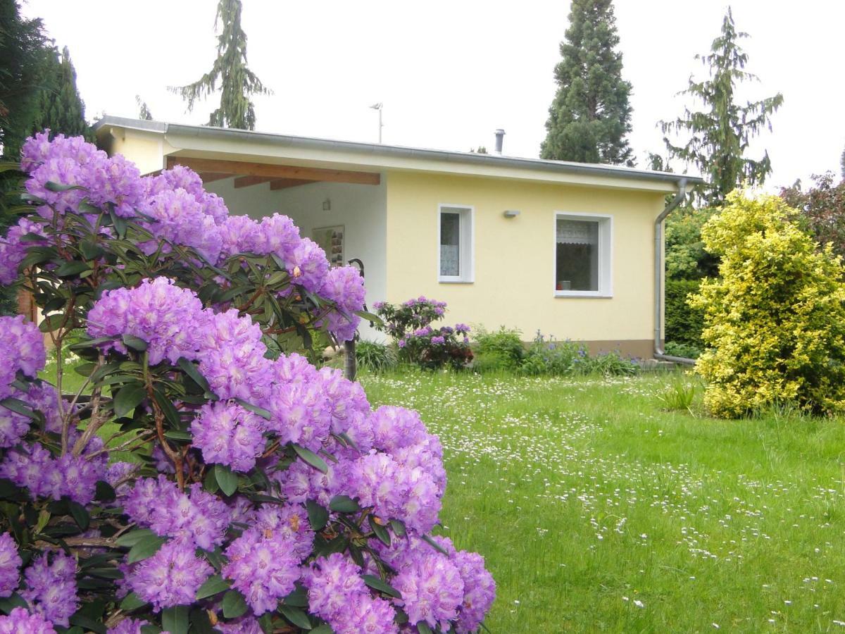 Vakantiehuis Sommerhaus Im Gruenen *